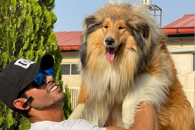 مولد نژاد راف کولی سالومه